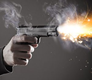 Gun